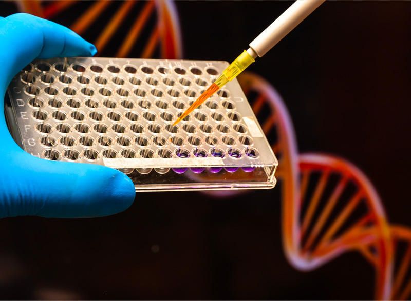 dna-test01