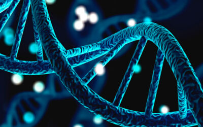 Optimizing human performance through Healthspan